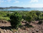 1214m² Land in Falmouth, Antigua and Barbuda No. 2 - Image 25