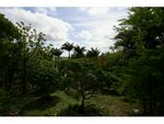 2 bedrooms Villa in John Hughes / Sawcolts, Antigua and Barbuda No. 8 - Image 6