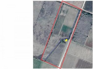 Farm in Mendoza, Argentina No. 43278