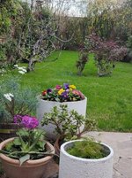 5 bedrooms House in Mendoza, Argentina No. 64626 - Image 9