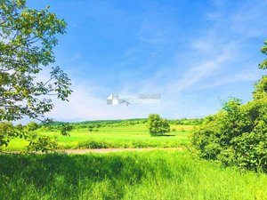 2278m² Land in Eisenstadt Umgebung, Austria No. 125418