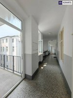 3 rooms Commercial property in Vienna, Austria No. 126121 - Image 13