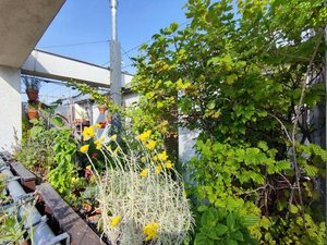 3 rooms Apartment in Margareten, Austria No. 307