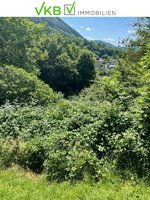 Land in Ybbsitz, Austria No. 64613 - Image 7