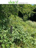 Land in Ybbsitz, Austria No. 64613 - Image 8