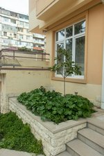 5 bedrooms Villa in Baku, Azerbaijan No. 1198 - Image 6