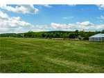 3 bedrooms Farm in Burlington, Canada No. 1529 - Image 10