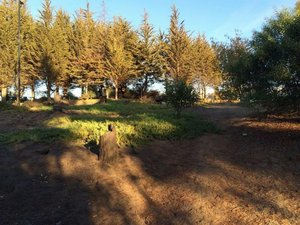 Land in Valparaiso, Chile No. 1215