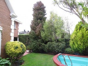 4 bedrooms House in Biobio, Chile No. 5317