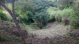 2 bedrooms House in Antioquia, Colombia No. 51