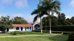 3 bedrooms House in Tolima, Colombia No. 6535