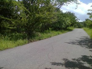 Land in Guadalajara de Buga, Colombia No. 97