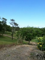 Studio in Tilaran, Costa Rica No. 1091 - Image 3