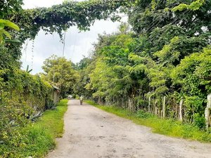 2 bedrooms House in Liberia, Costa Rica No. 1165