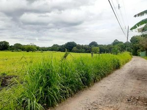 2 bedrooms House in Liberia, Costa Rica No. 1165