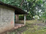 2 bedrooms House in Liberia, Costa Rica No. 1165 - Image 4