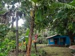 2 bedrooms House in Liberia, Costa Rica No. 1165 - Image 5
