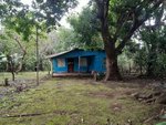 2 bedrooms House in Liberia, Costa Rica No. 1165 - Image 6