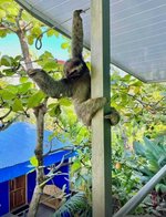 10 rooms Hotel in Puntarenas, Costa Rica No. 1357 - Image 2