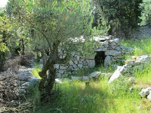 Land in Cres, Croatia No. 103