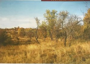 1488m² Land in Zagreb, Croatia No. 14