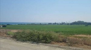53744m² Land in Larnaca, Cyprus No. 16323