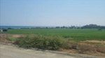 53744m² Land in Larnaca, Cyprus No. 16323 - land in Cyprus