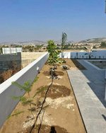 3 bedrooms House in Pyla, Cyprus No. 16515 - Image 5