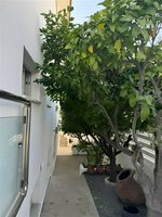 6 bedrooms House in Limassol, Cyprus No. 16623 - Image 5