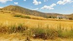 24800m² Land in Oroklini, Cyprus No. 16725 - Image 2