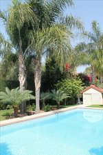 4 bedrooms Villa in Limassol, Cyprus No. 1785 - Image 4