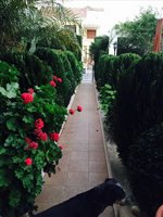 4 bedrooms Villa in Limassol, Cyprus No. 1806 - Image 12