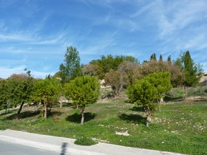 2 bedrooms Apartment in Paphos, Cyprus No. 21602