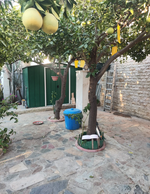 3 bedrooms Townhouse in Limassol, Cyprus No. 5581 - Image 8