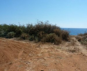Land in Mandria, Cyprus No. 5726