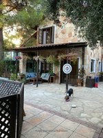 4 bedrooms Villa in Souni–Zanatzia, Cyprus No. 5845 - Image 21