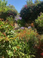 3 bedrooms Villa in Polis, Cyprus No. 80 - villa in Cyprus