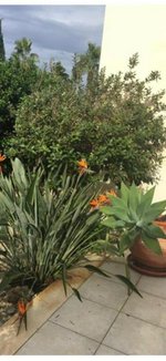 3 bedrooms Villa in Polis, Cyprus No. 80 - Image 4