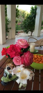 3 bedrooms Villa in Polis, Cyprus No. 80 - Image 5