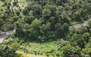 51597m² Hotel in Saint Paul, Dominica No. 11