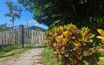 51597m² Hotel in Saint Paul, Dominica No. 11 - Image 26