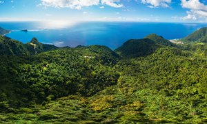 680277m² Hotel in Pointe Michel, Dominica No. 19