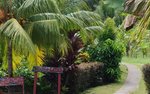 2787m² Hotel in La Plaine, Dominica No. 23 - Image 4