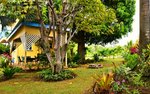 7 bedrooms Land in Calibishie, Dominica No. 27 - Image 8