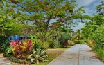 7 bedrooms Land in Calibishie, Dominica No. 27 - Image 13