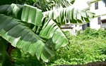 2 bedrooms Land in Roseau, Dominica No. 28 - Image 14
