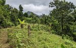 25657m² Hotel in Pont Casse, Dominica No. 30 - Image 27