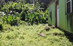 3 bedrooms Commercial property in Saint Paul, Dominica No. 33 - Image 6
