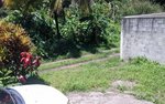 3 bedrooms Commercial property in Saint Paul, Dominica No. 33 - Image 25