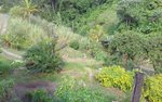 5 bedrooms Commercial property in Saint Paul, Dominica No. 37 - Image 12